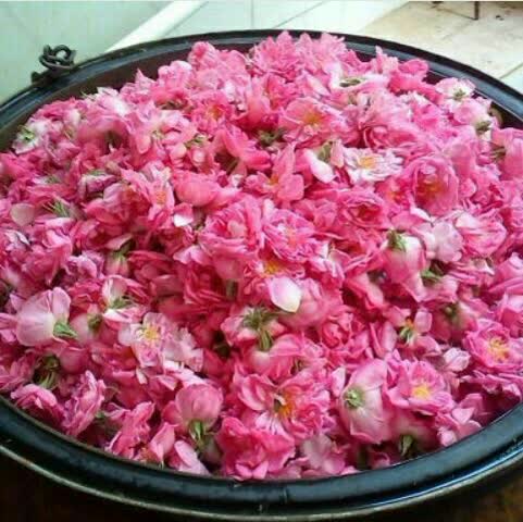 رفع بوی بد دهان