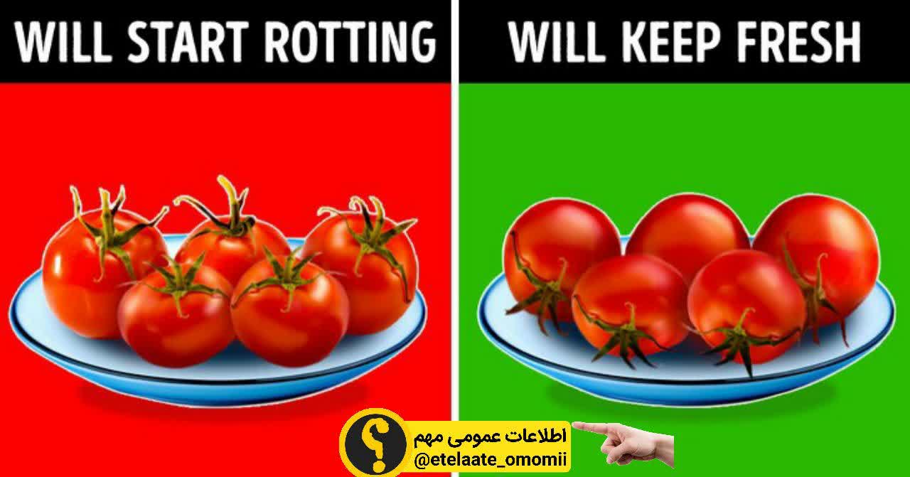 چگونه گوجه فرنگی ها رو مدت بیشتری سالم نگه داریم؟ 