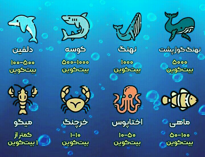 رتبه بندی هولدرهای بیت کوین