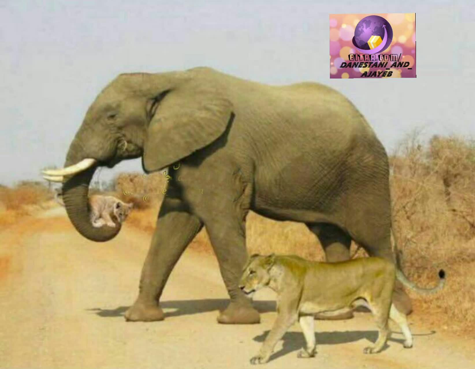 زیباترین عکس جهان