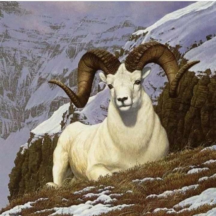 شکر نعمت الهی