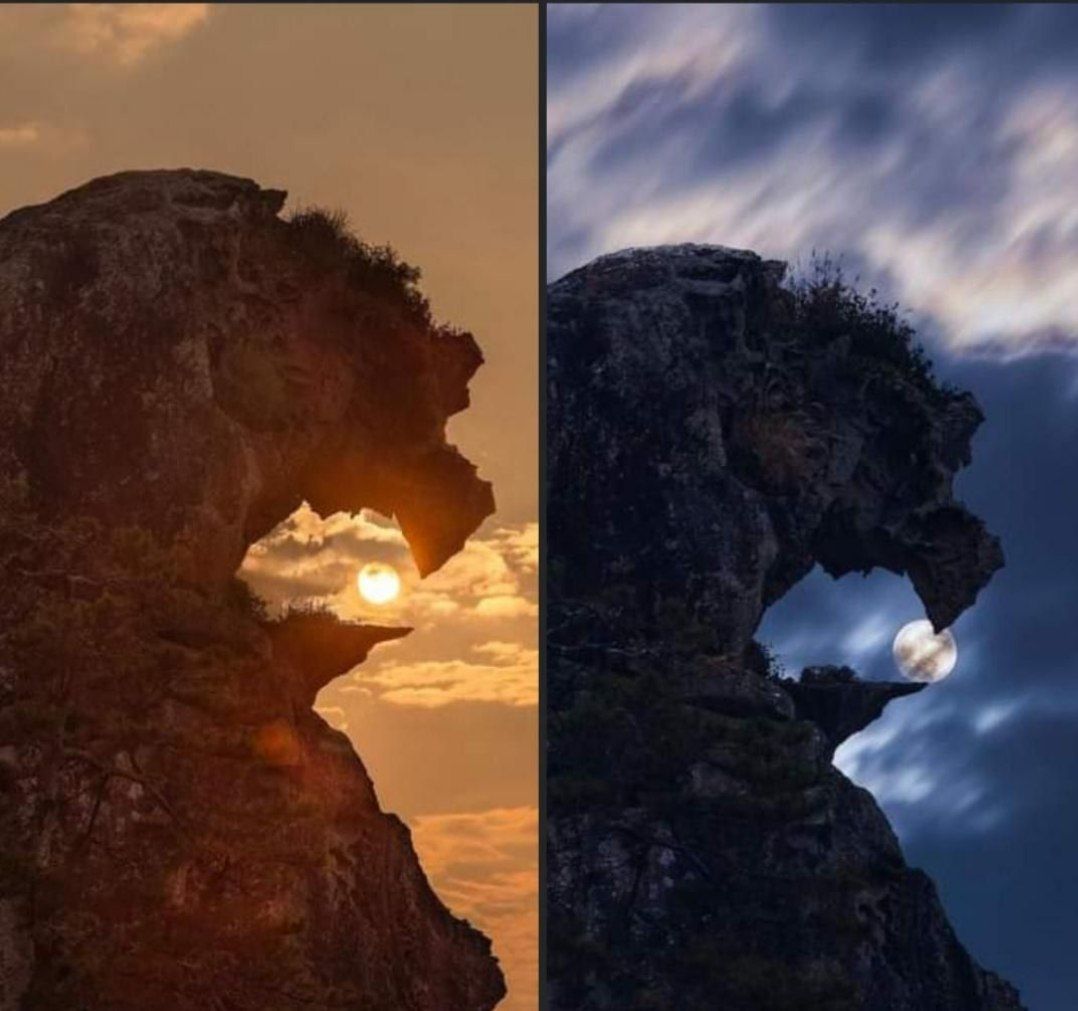 صخره شیر