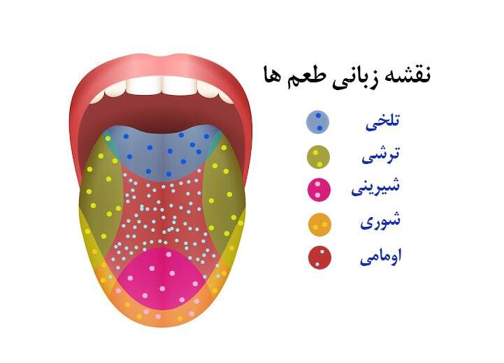 مزه پنجم