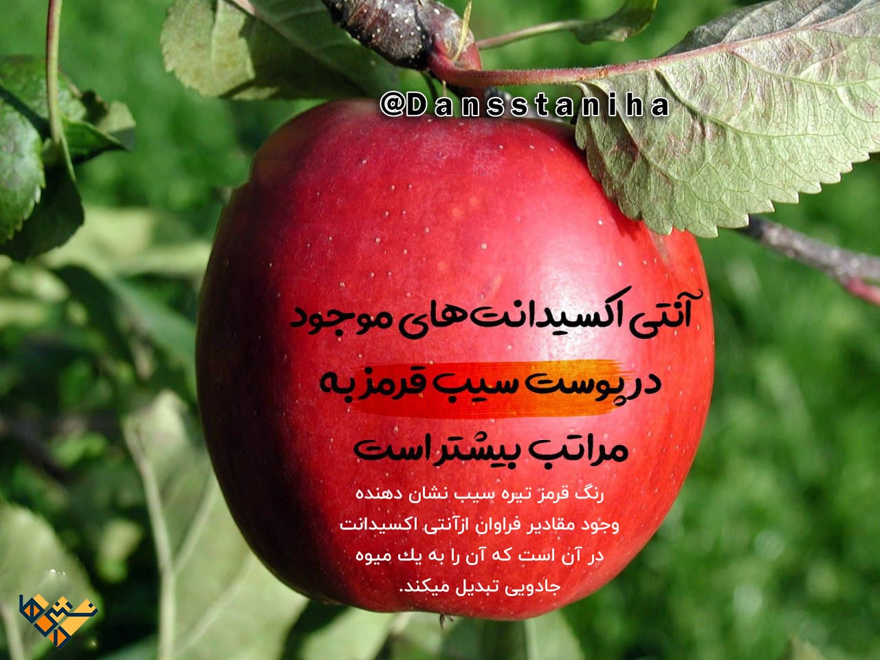 پوست سیب قرمز