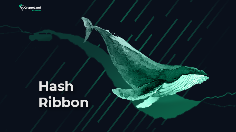 اندیکاتور  Hash Ribbon 
