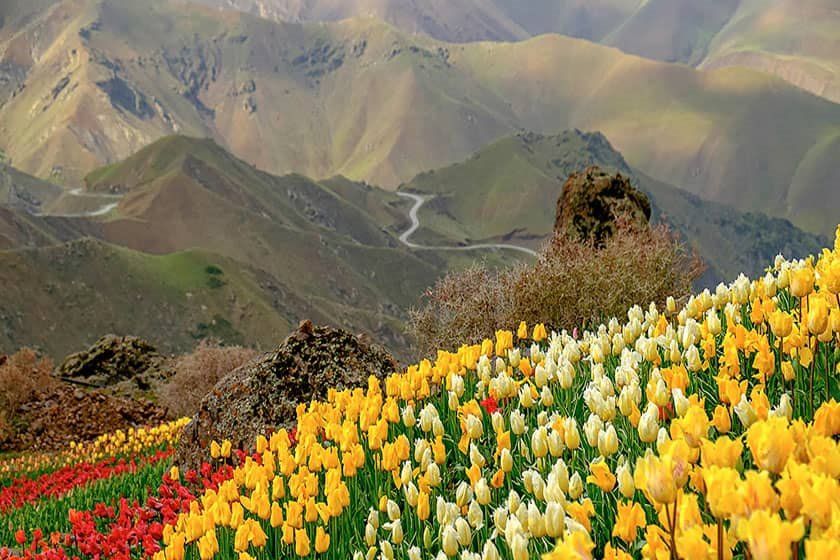 معرفی روستای گردشگری کندر
