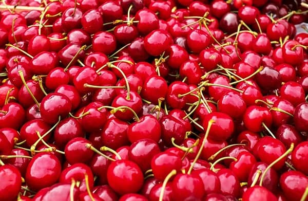 خواص درمانی گیلاس