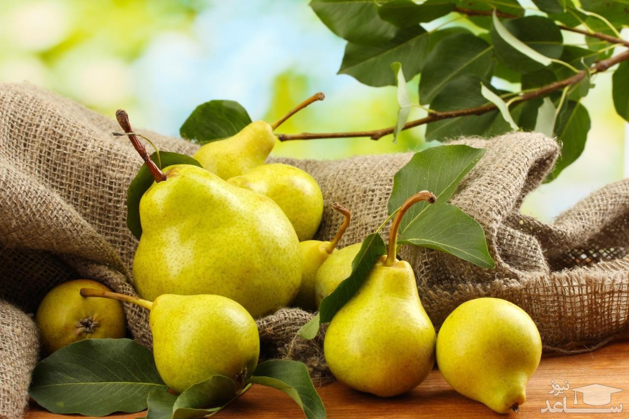 خواص و فواید گلابی
