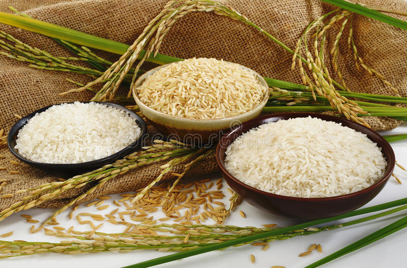 وقتی برنج میخوریم چه اتفاقی می افتد؟