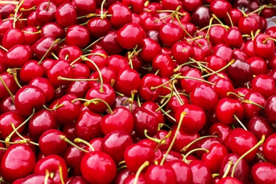 خواص و فواید گیلاس