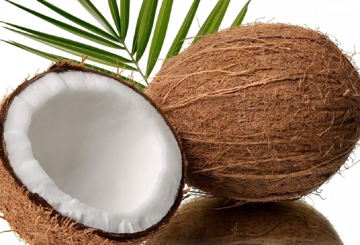 همه چیز درباره نارگیل