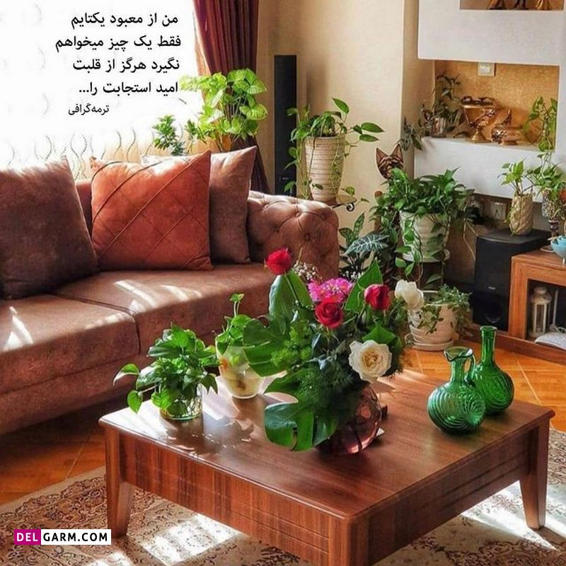 ذهن زیبا