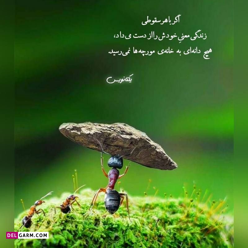 ذهن زیبا