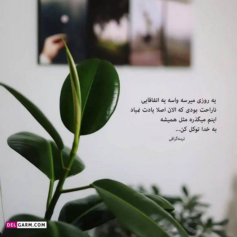 ذهن زیبا