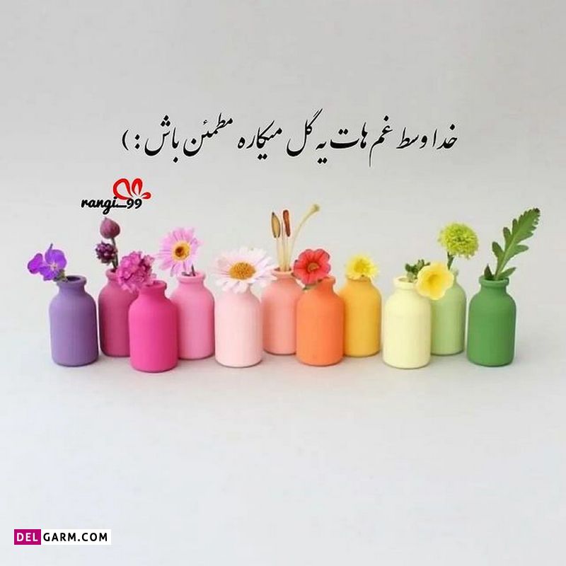 ذهن زیبا