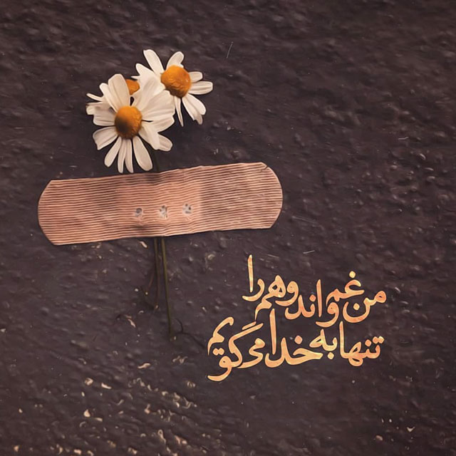 ذهن شکرگذار