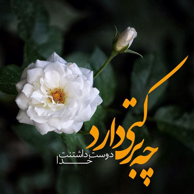 ذهن عاشق