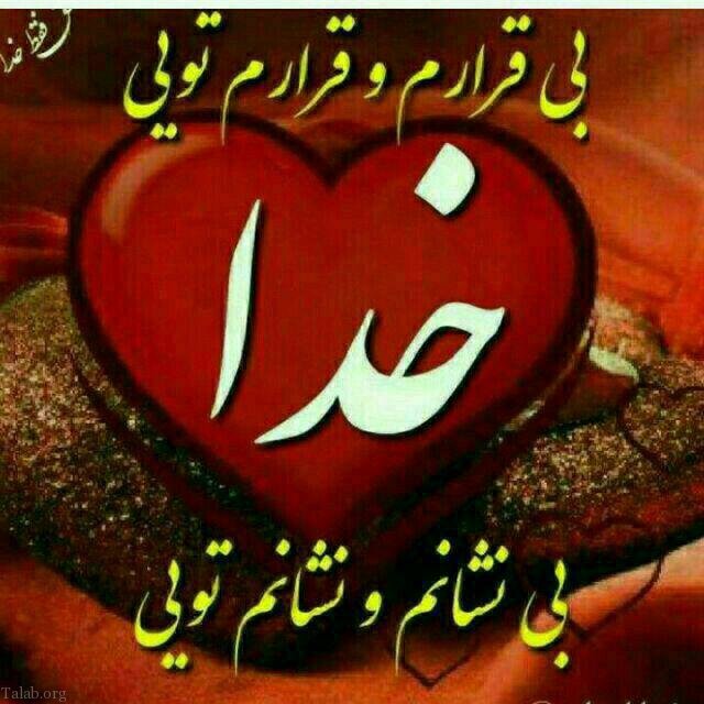 ذهن تلاشگر