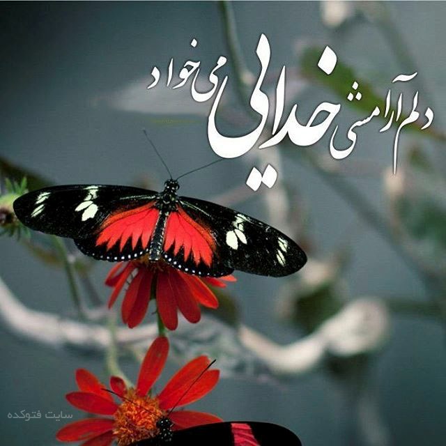 ذهن صبور