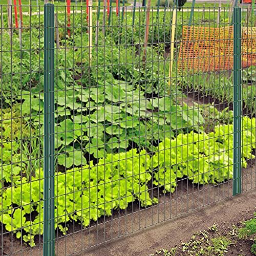 توری فنس حصاری دور باغچه