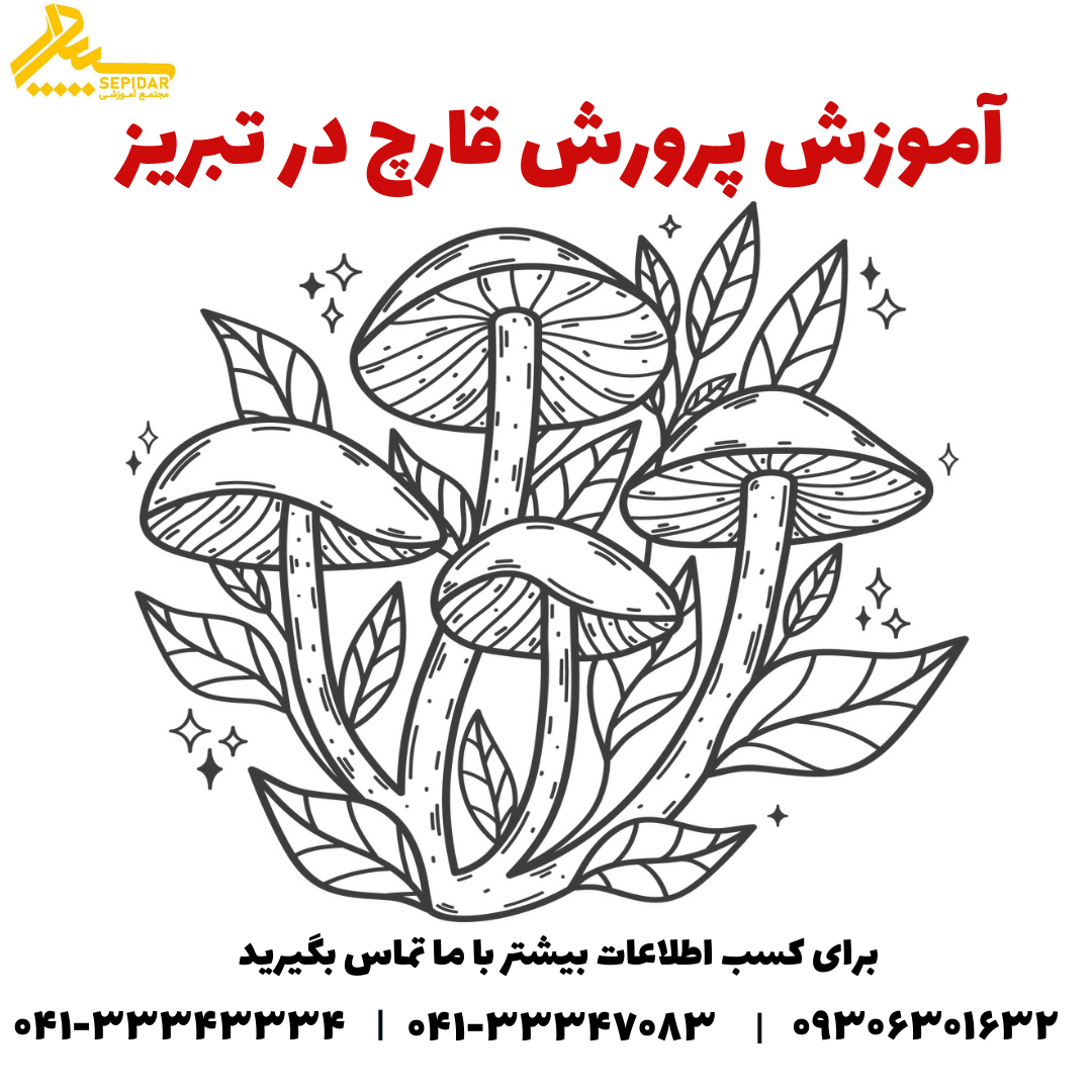 آموزش پرورش قارچ در تبریز